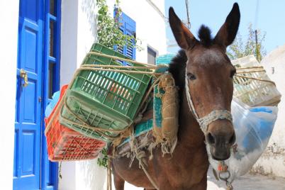 holiday cyclades 