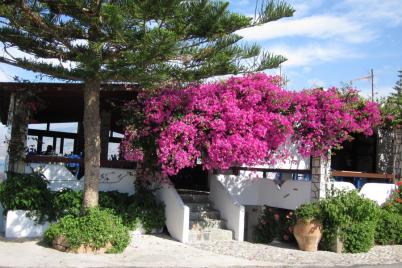 fly drive crete 