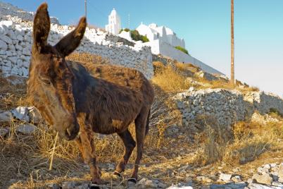 travel to folegandros 