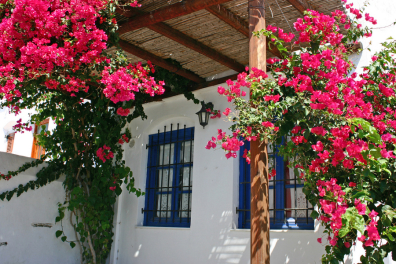 travel to sifnos 